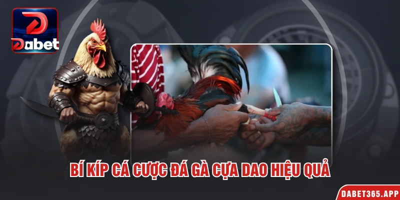 Bí kíp cá cược đá gà cựa dao hiệu quả