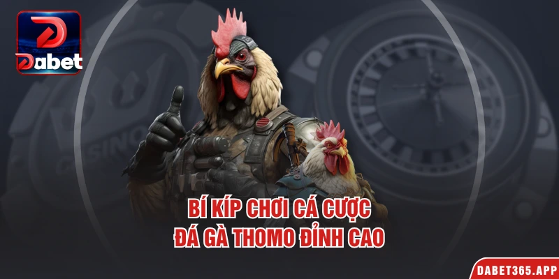 Bí kíp chơi cá cược đá gà Thomo đỉnh cao