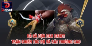 Đá Gà Cựa Dao Dabet – Trận Chiến Tốc Độ Và Sát Thương Cao