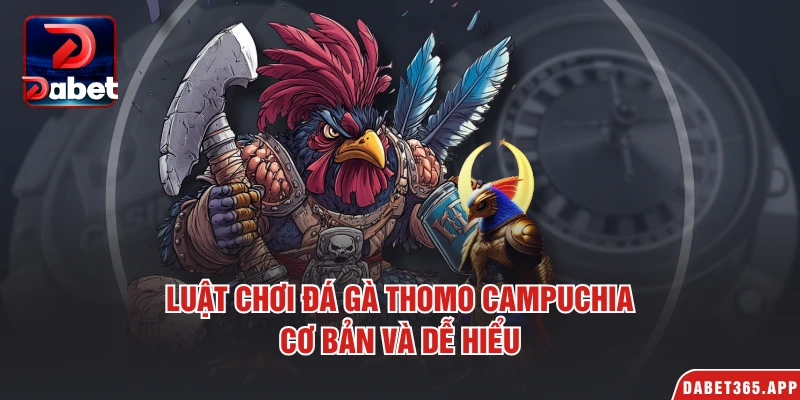 Luật chơi đá gà Thomo Campuchia cơ bản và dễ hiểu